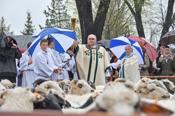 W błogosławieństwie deszczu - Wiosenne Bacowskie 2019
